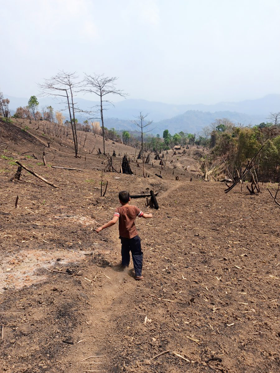 A boy running back to a hut over the field in Longkhum village under Mokokchung District.